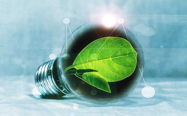 How can green energy technologies drive business sustainability?